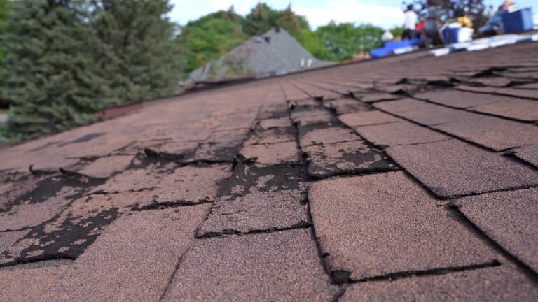 Best Rubber Roofing (EPDM, TPO)  in West Lake Hills, TX